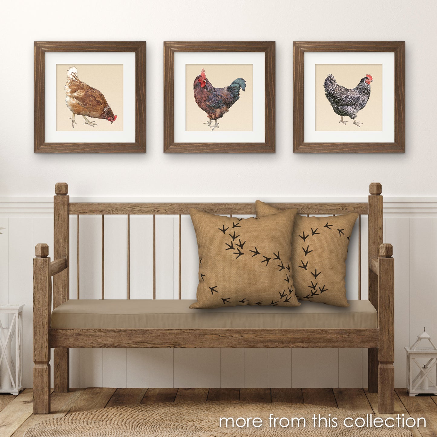 Barred Plymouth Rock Hen Designer Greeting Card