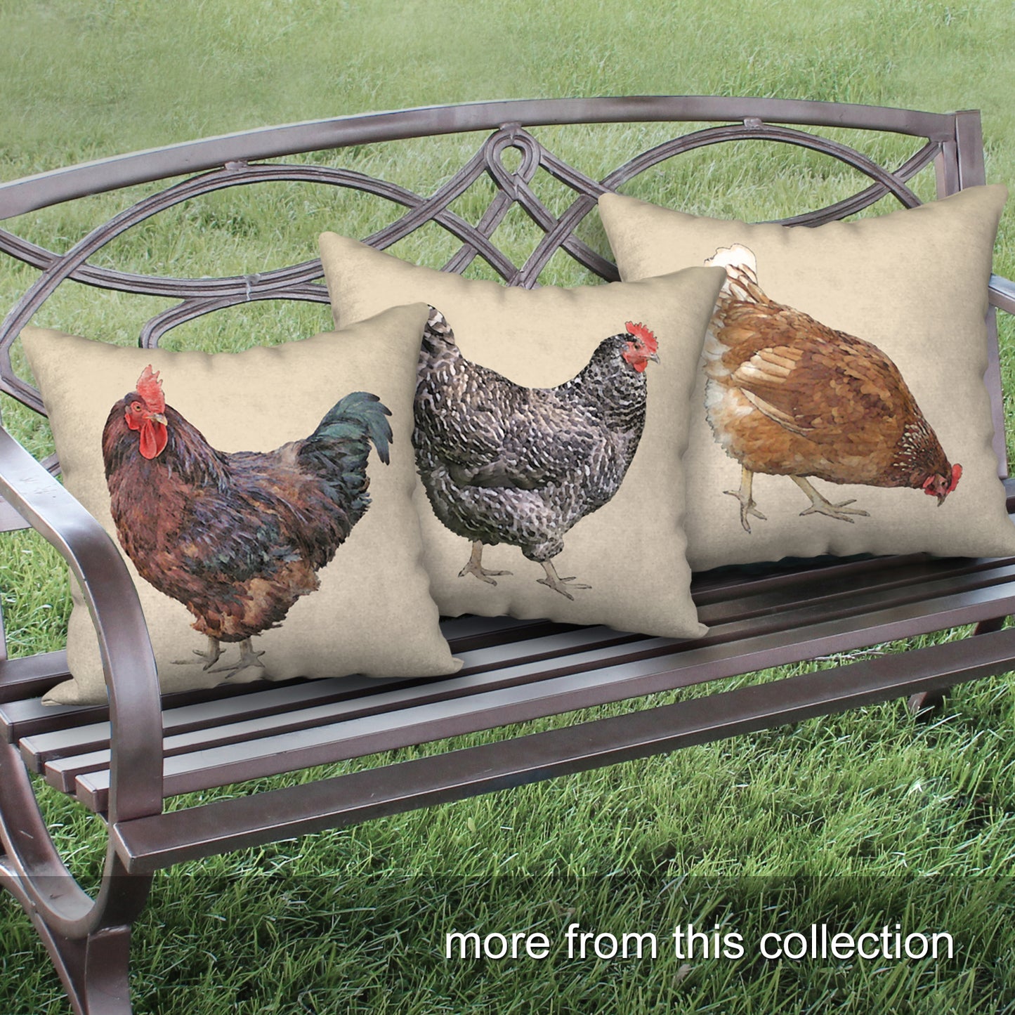 Little Red Hen Wrapped Canvas Print