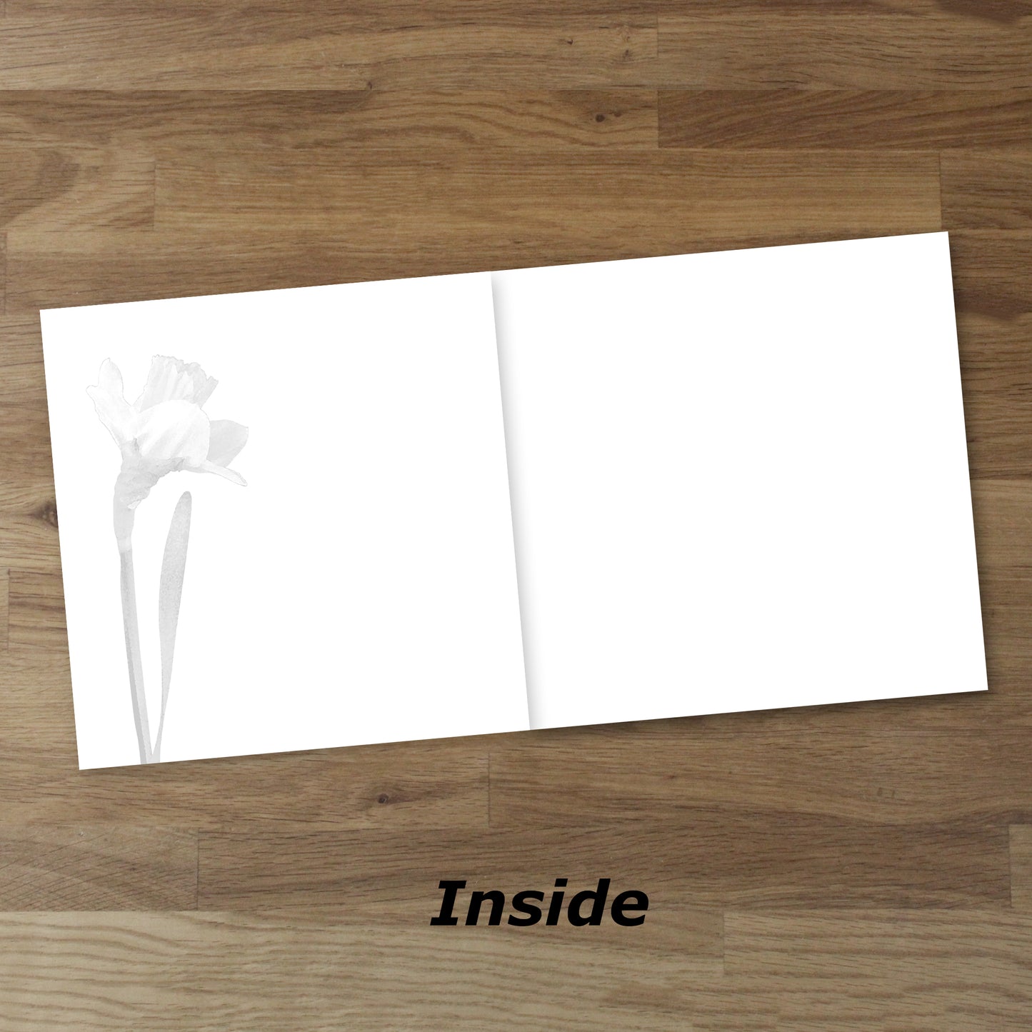 Set of 10 Daffodils Designer Greeting Cards