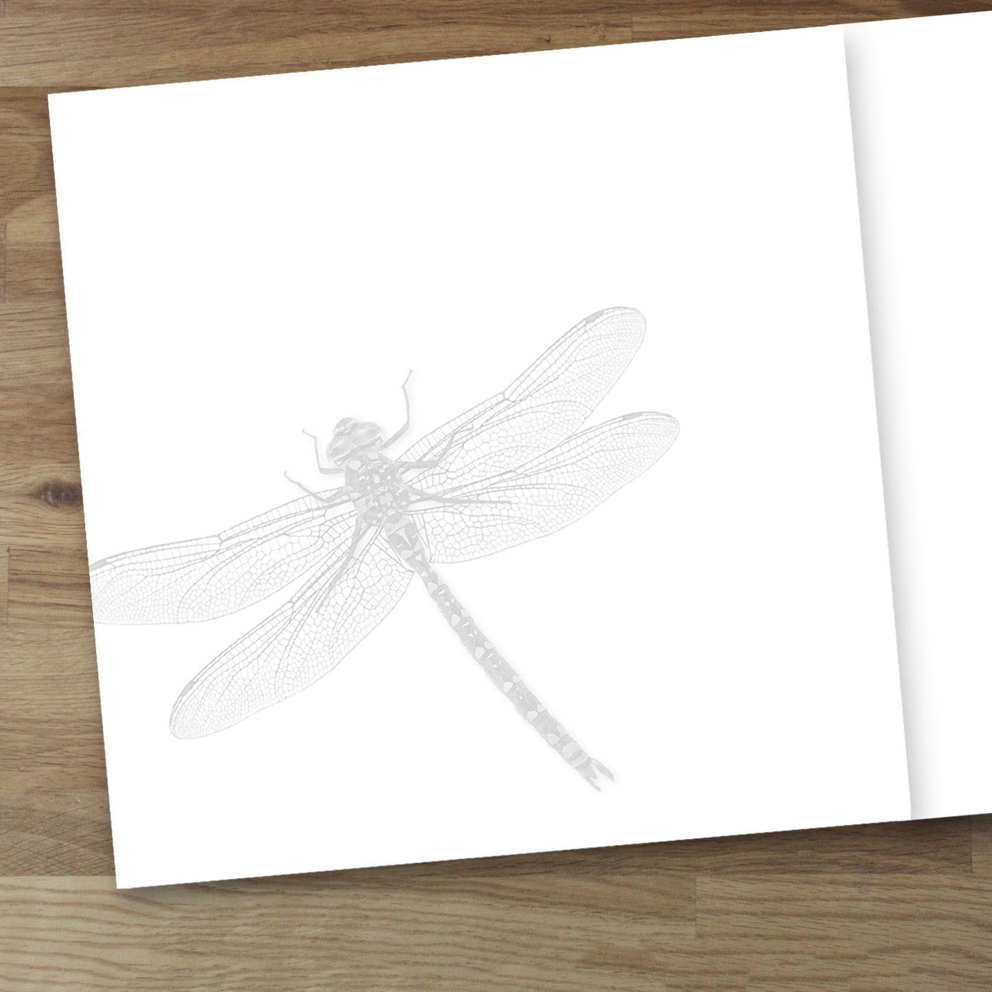 Set of 10 Dragonfly Designer Greeting Cards