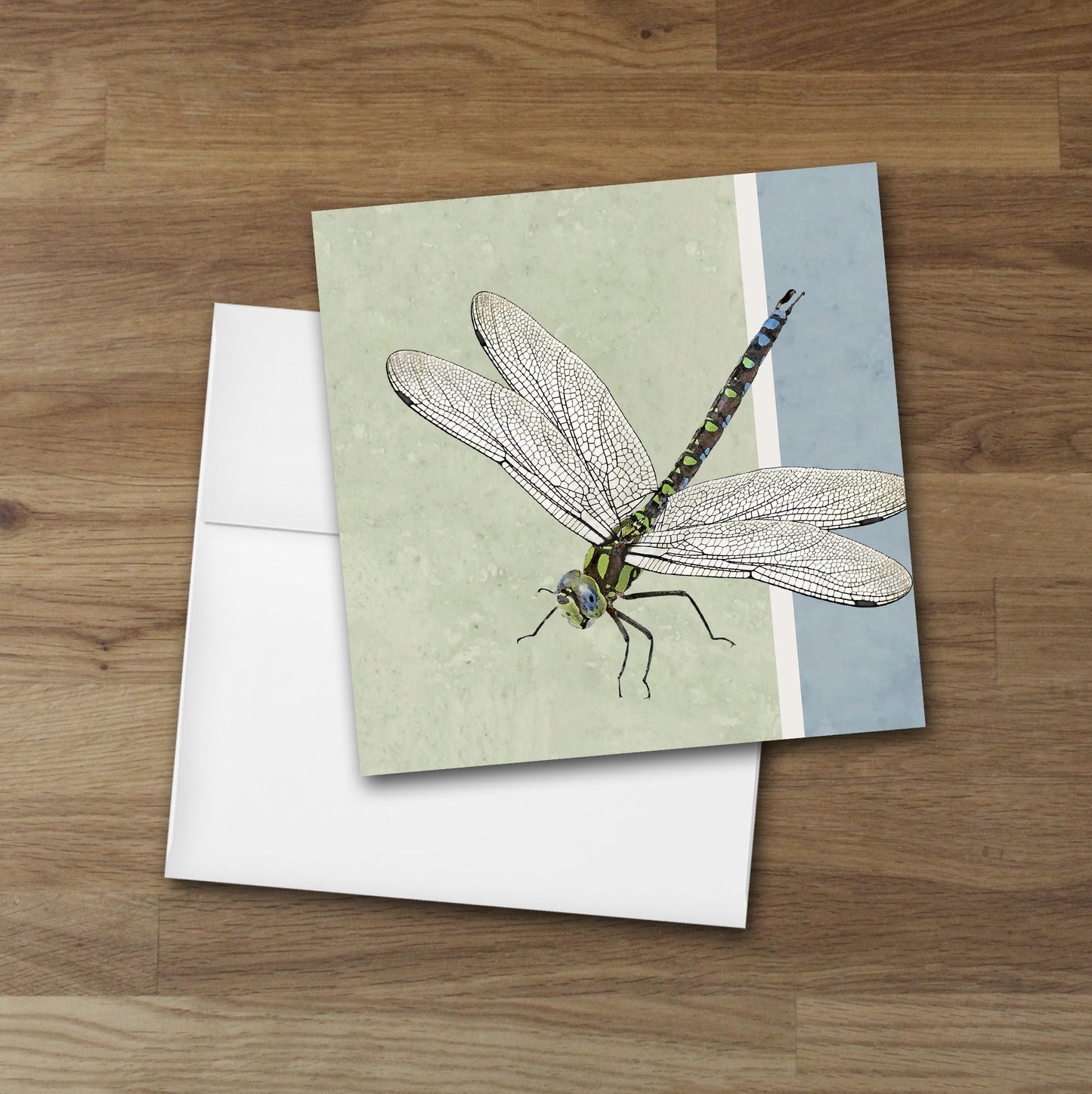 Set of 10 Dragonfly Designer Greeting Cards