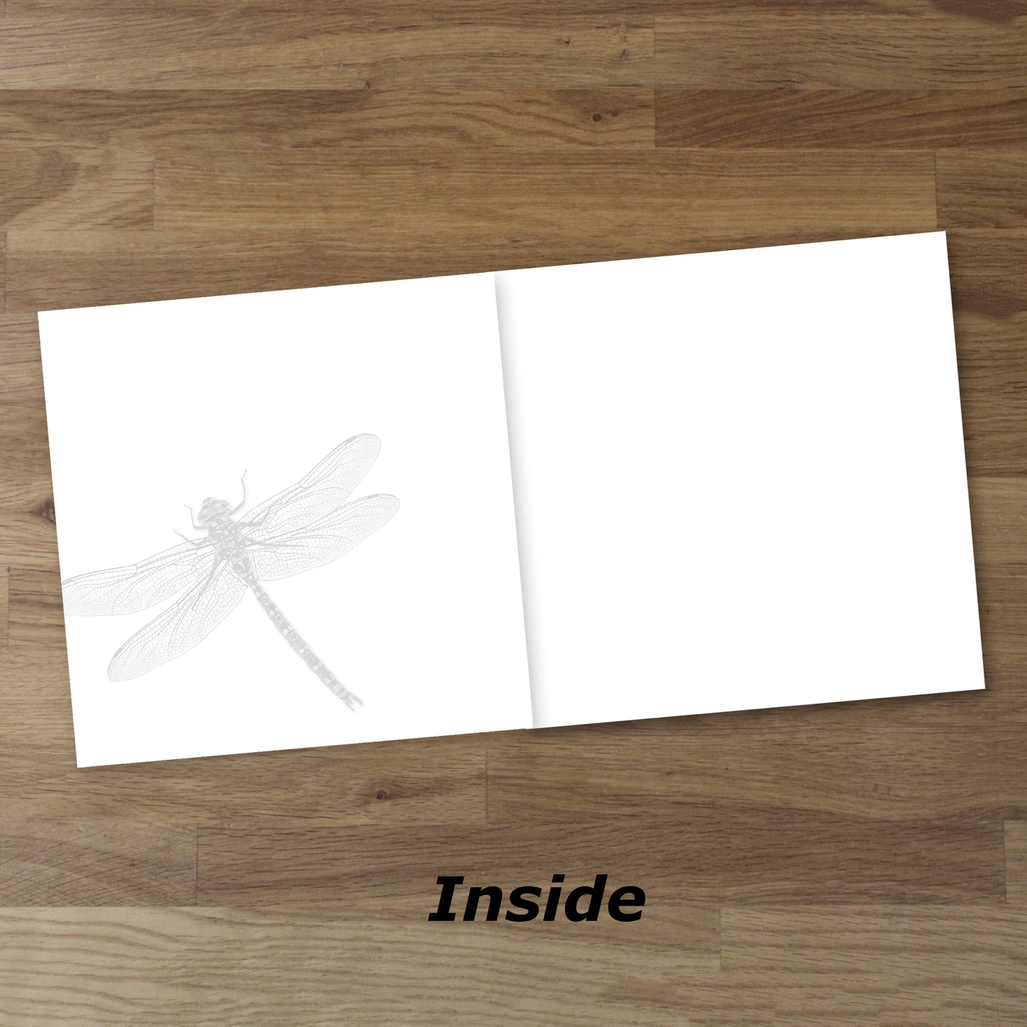 Set of 10 Dragonfly Designer Greeting Cards