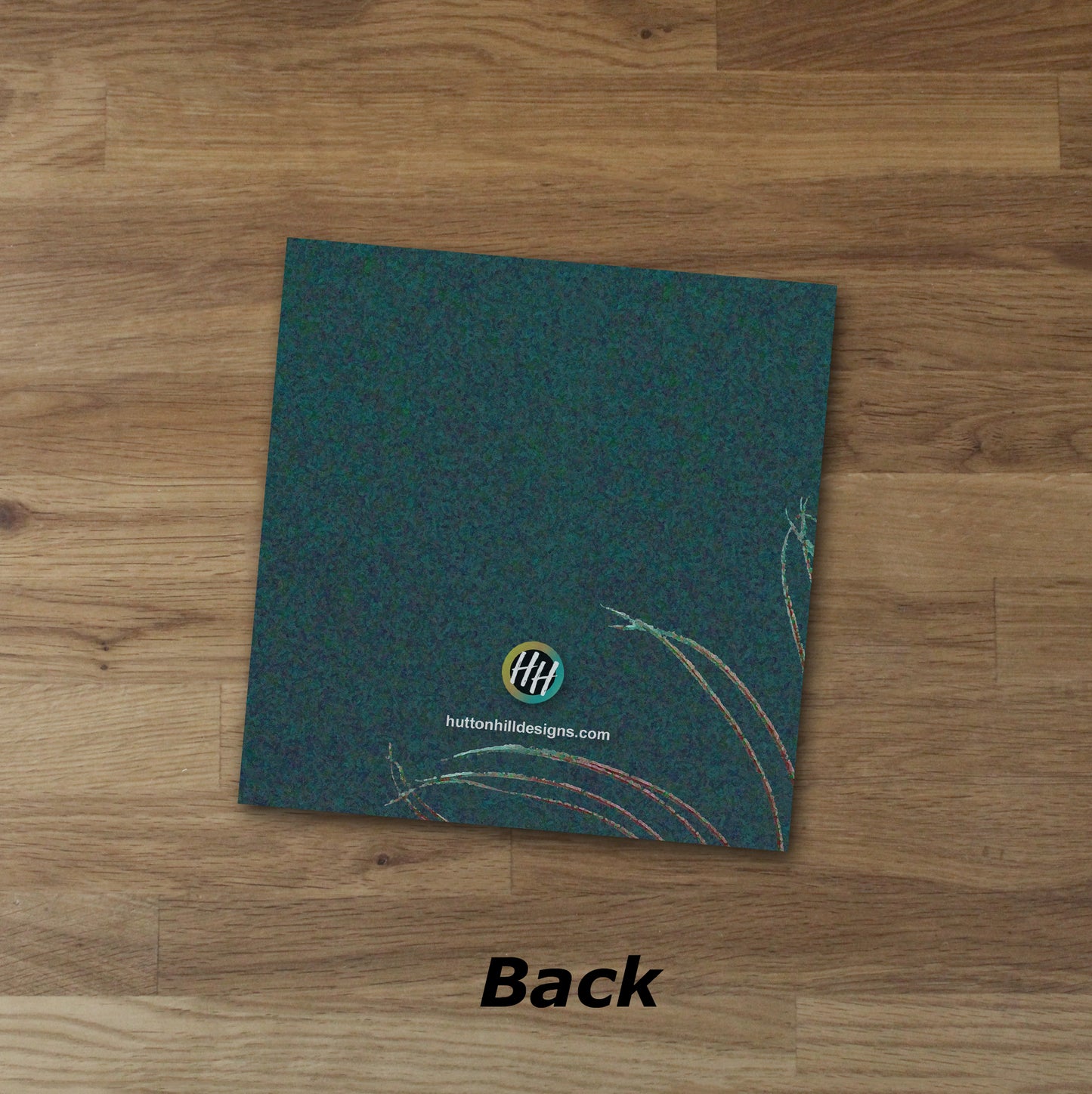 Set of 10 Peacock Feather Designer Greeting Cards
