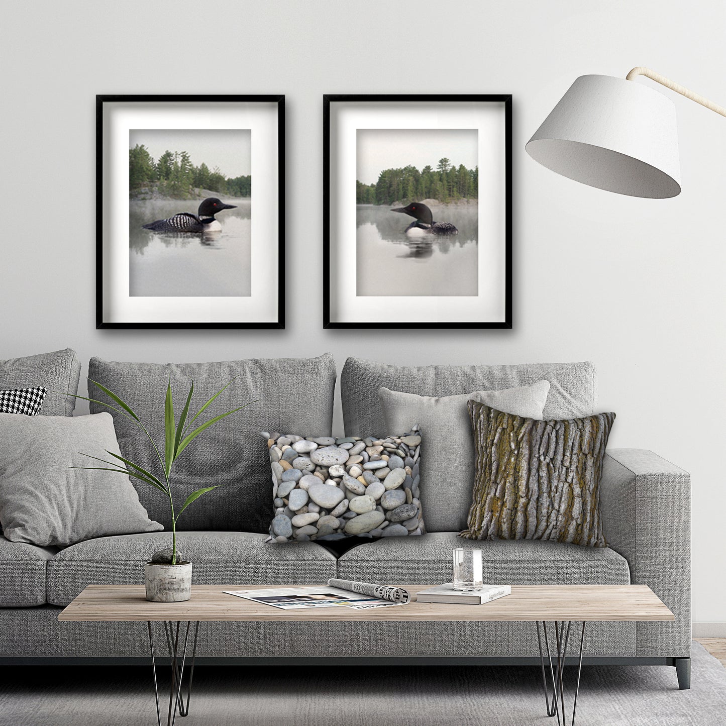 Set of 2 Framed Lake Loon Fine Art Prints