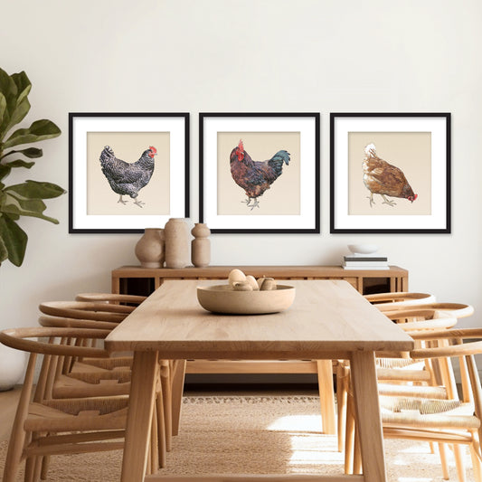 Set of 3 Framed Chickens Fine Art Prints