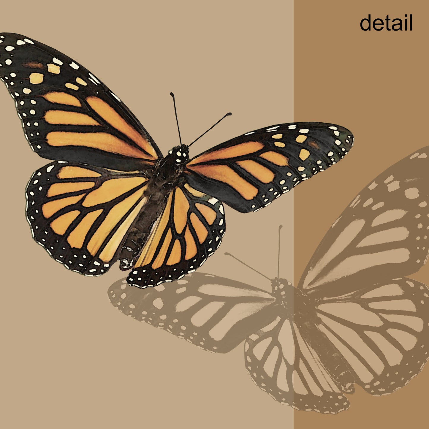 Set of 10 Monarch Butterfly Designer Greeting Cards