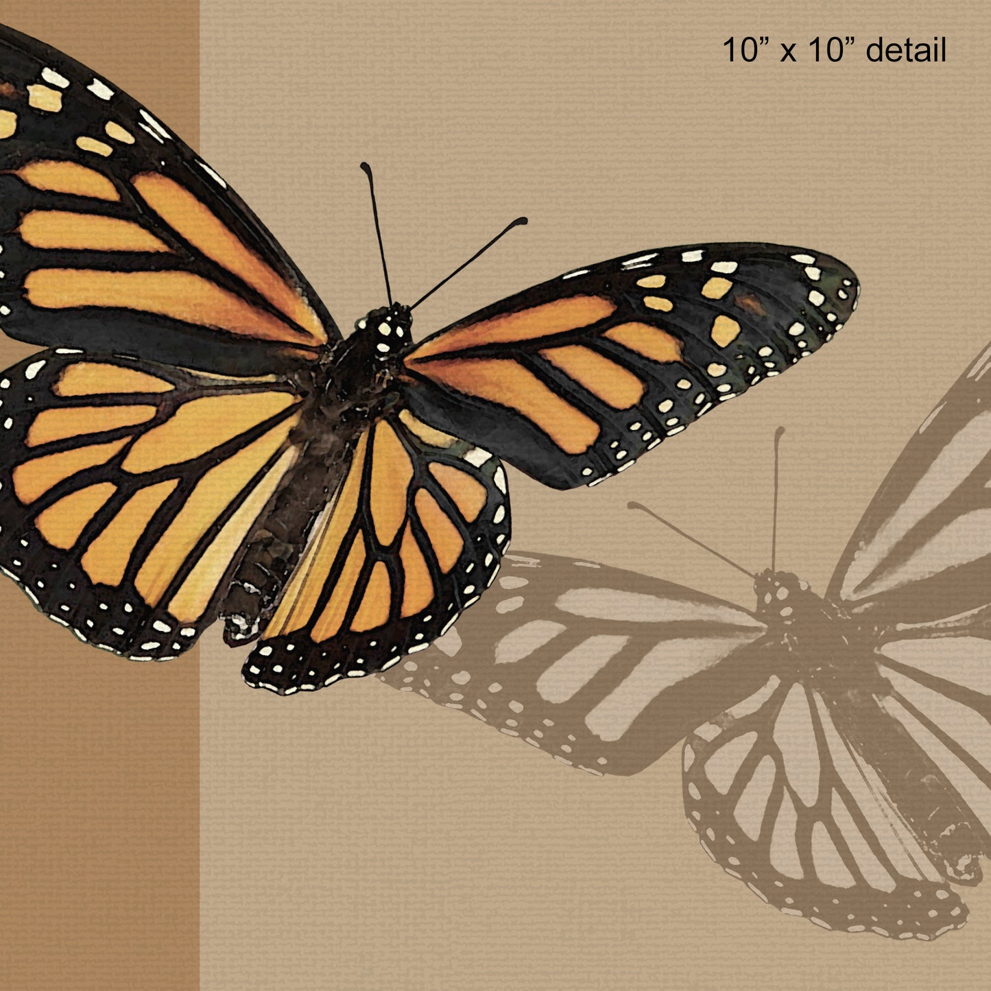 Monarch Butterfly Designer Pillow, 20"x14"