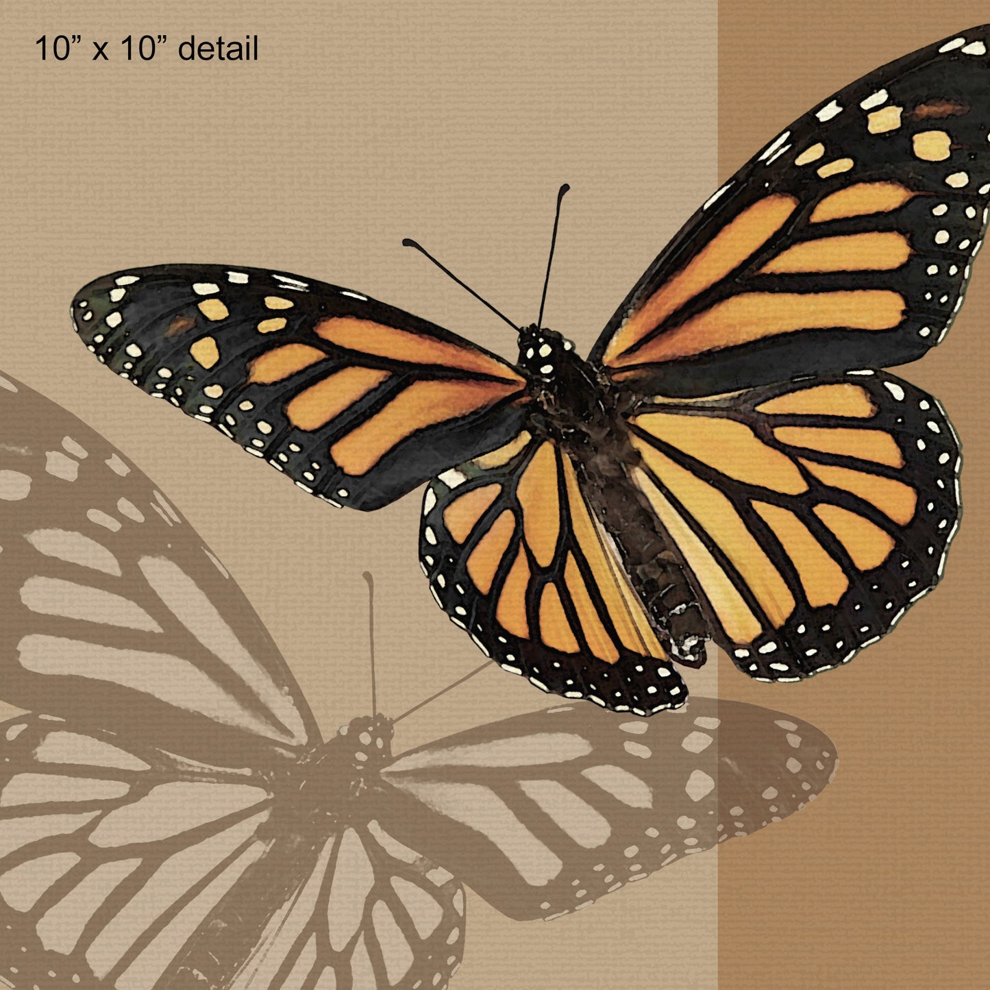 Set of 2 Monarch Butterfly Designer Pillows, 18"x18" and 20"x14"