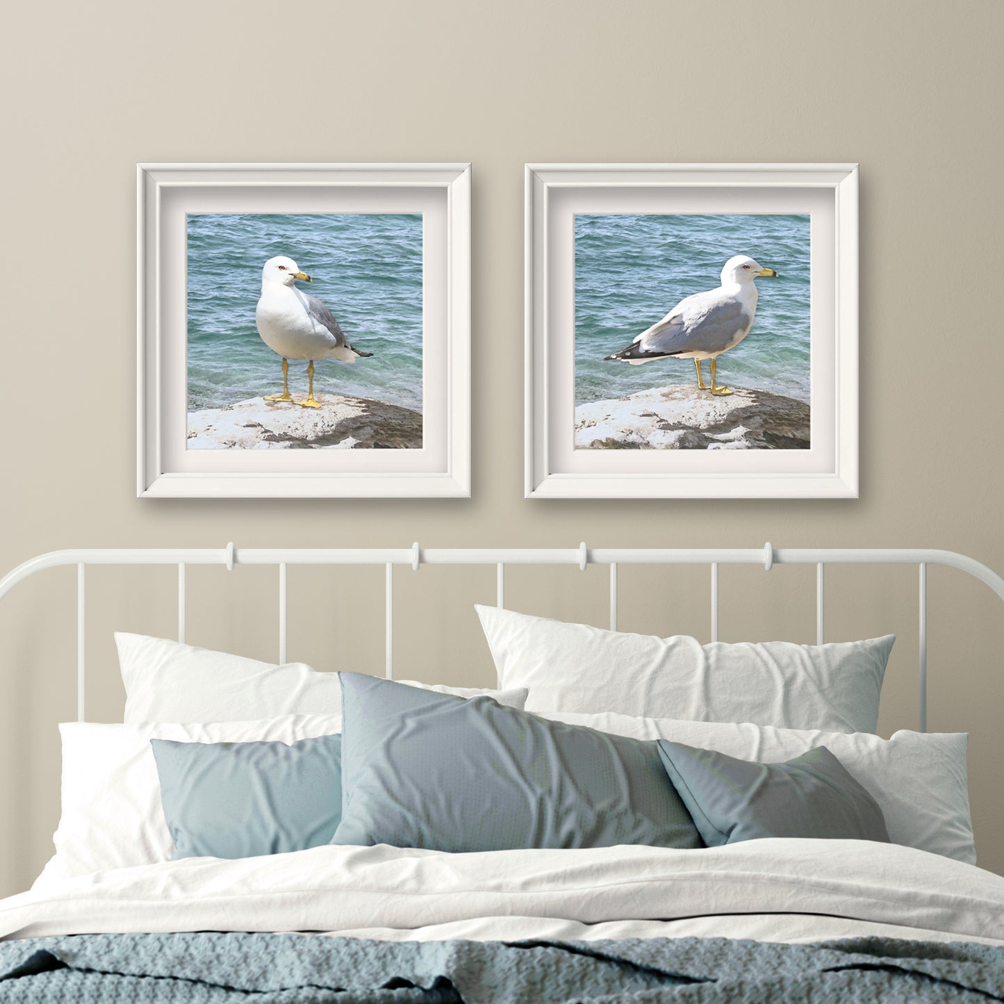 Set of 2 Seagull Fine Art Prints, Unframed
