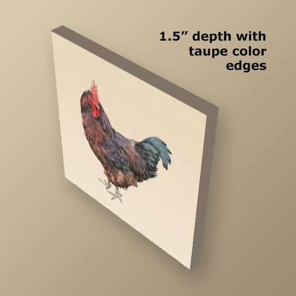Set of 3 Chicken Wrapped Canvas Prints