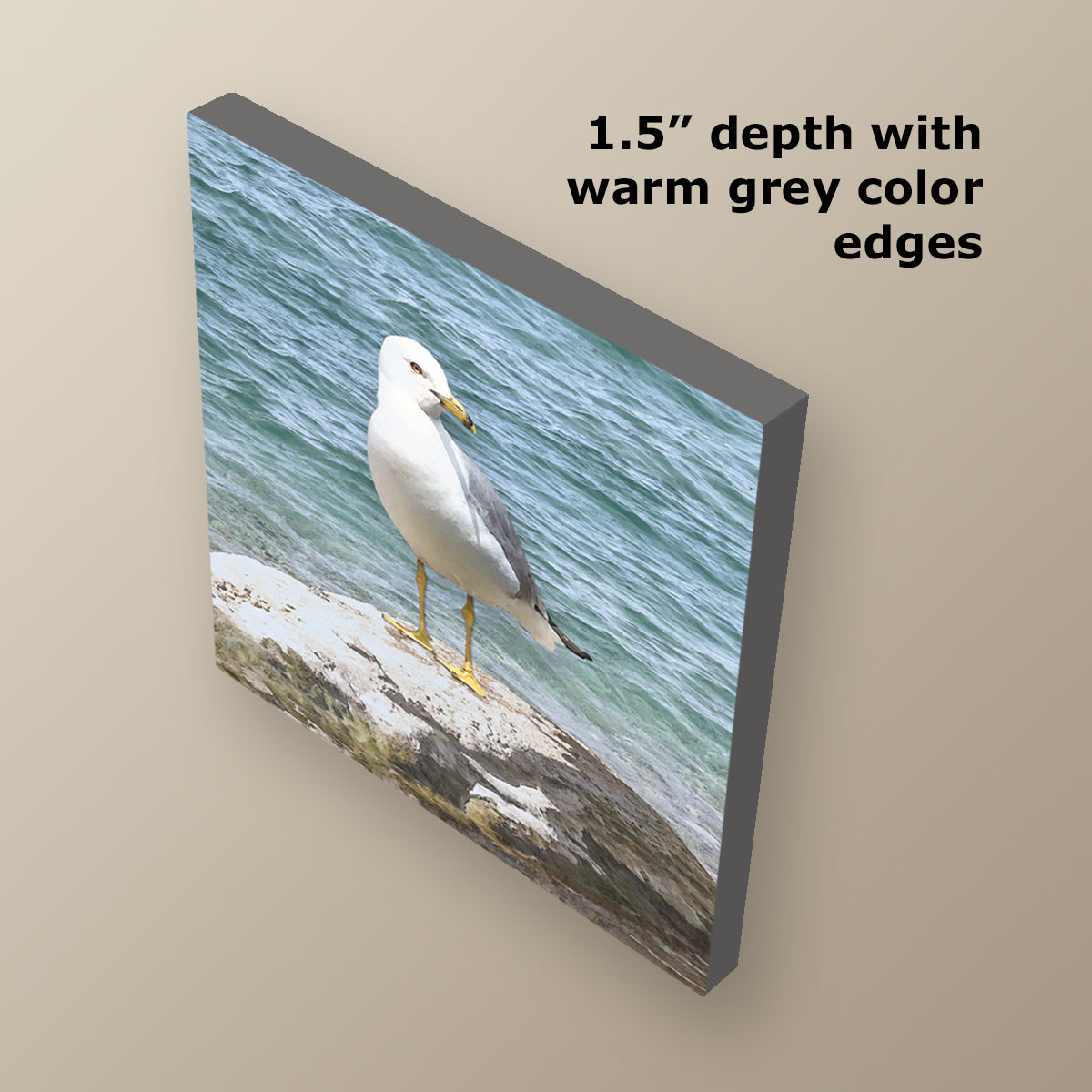 Seagull by the Shore Wrapped Canvas Print
