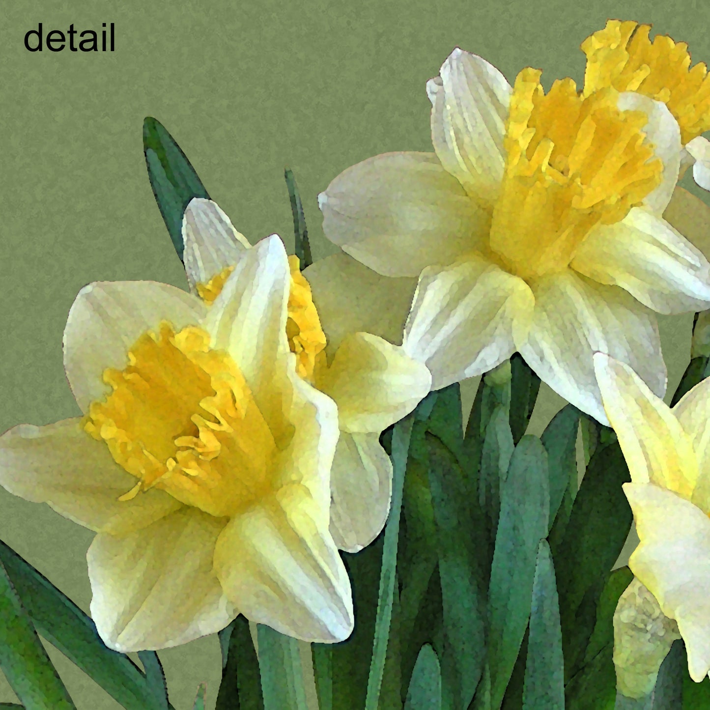 Daffodil Bouquet Designer Pillow, 18"x18"