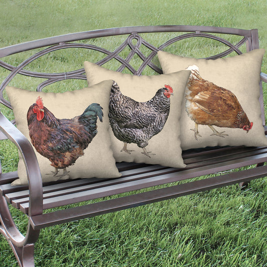 Set of 3 Chicken Designer Pillows, 18"x18"