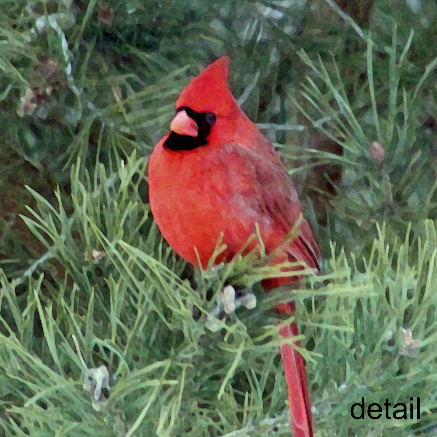 Cardinal in Tree Designer Pillow, 18"x18"