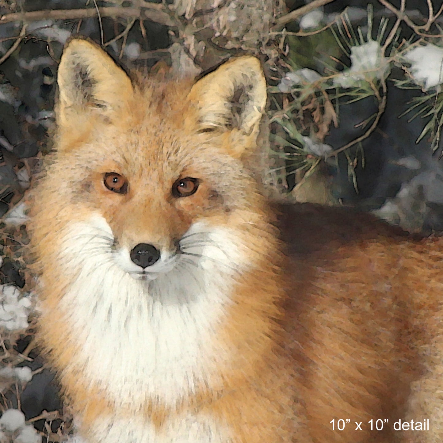 Watchful Fox Designer Pillow, 18"x18"