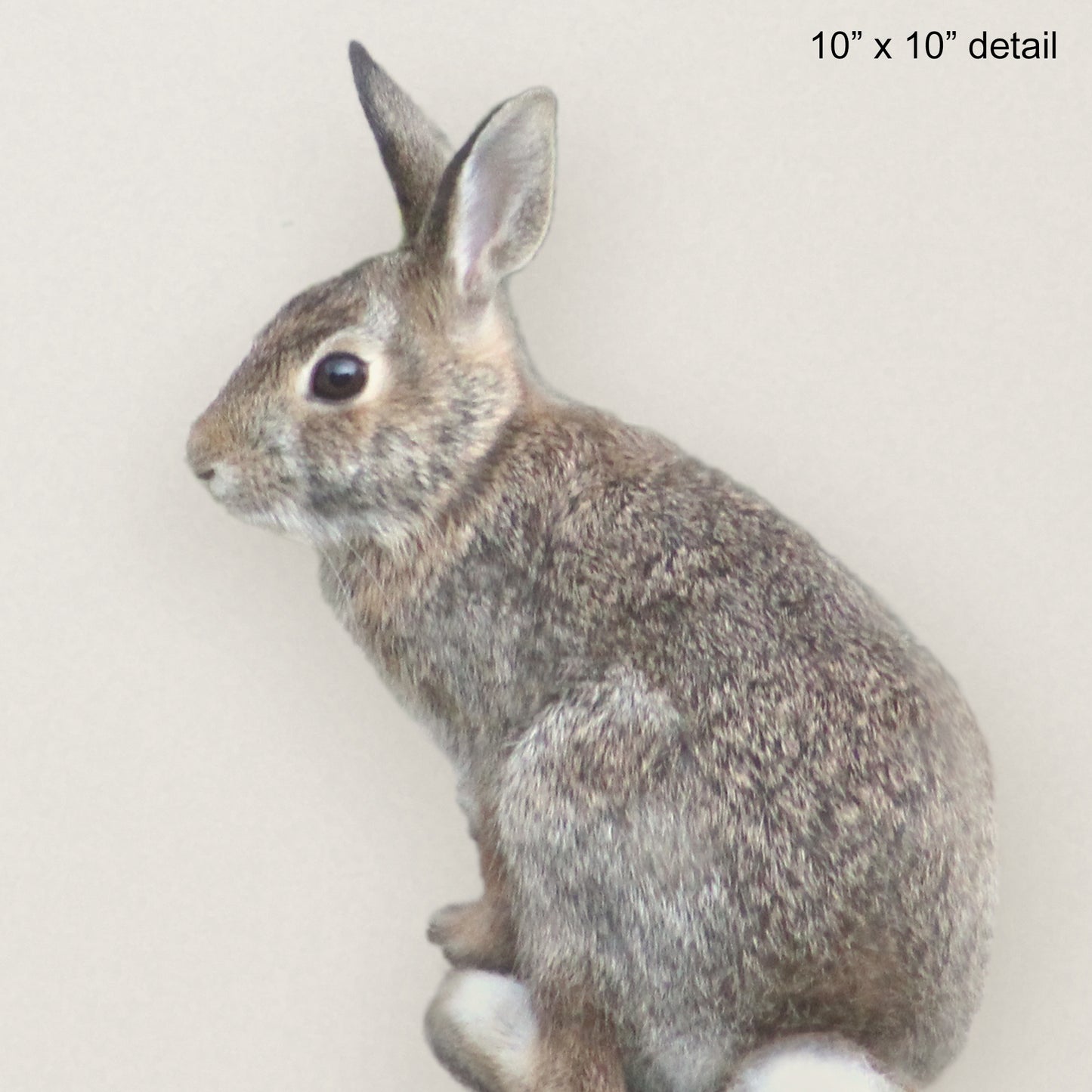 Cottontail Bunny Designer Pillow, 18"x18"