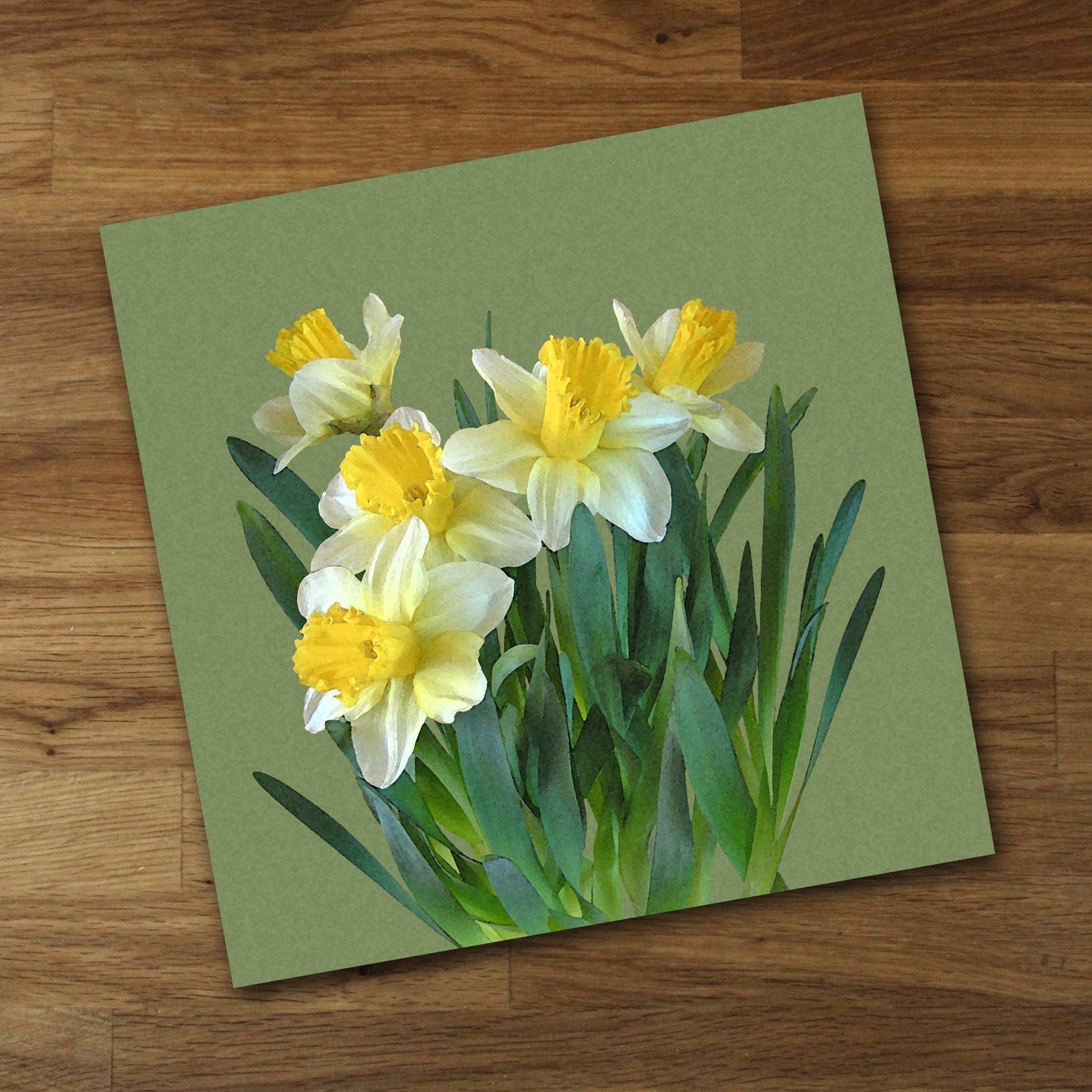 Sunny Daffodils Fine Art Print, Unframed