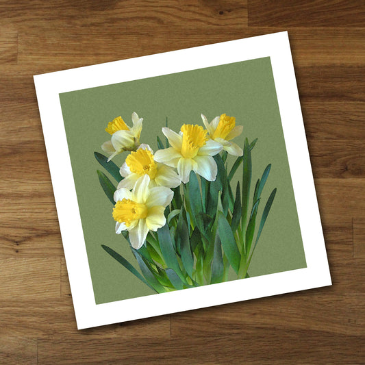 Sunny Daffodils Fine Art Print, Unframed