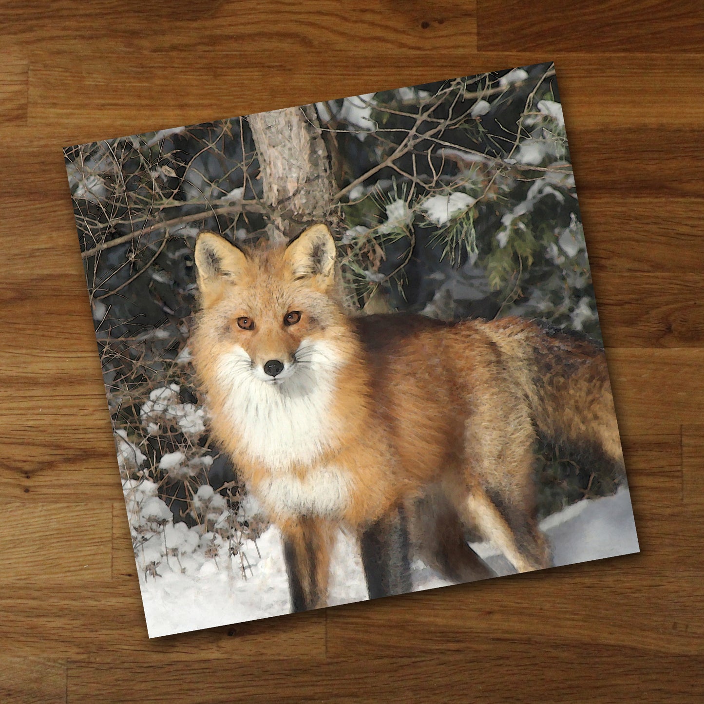 Watchful Fox Fine Art Print, Unframed