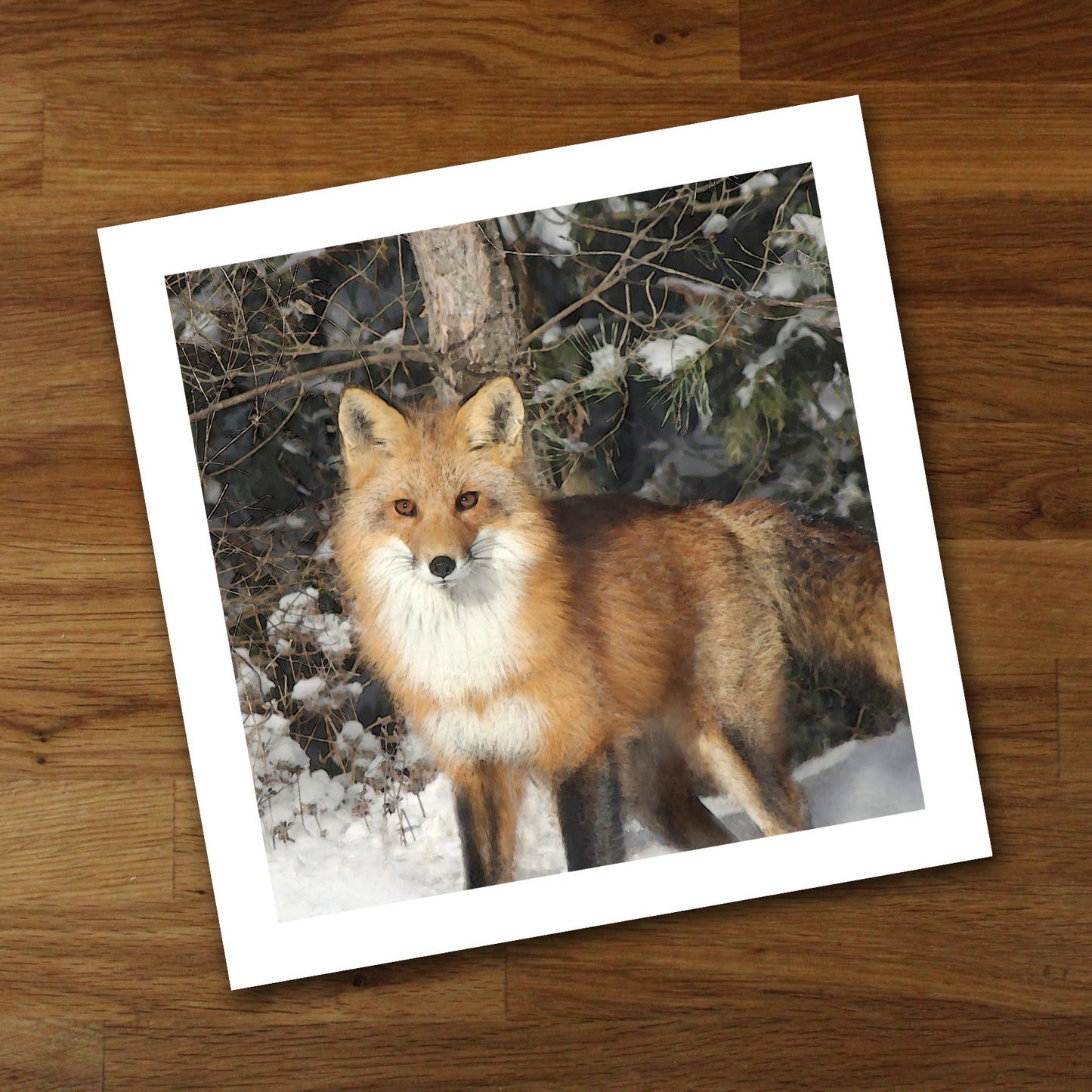 Watchful Fox Fine Art Print, Unframed