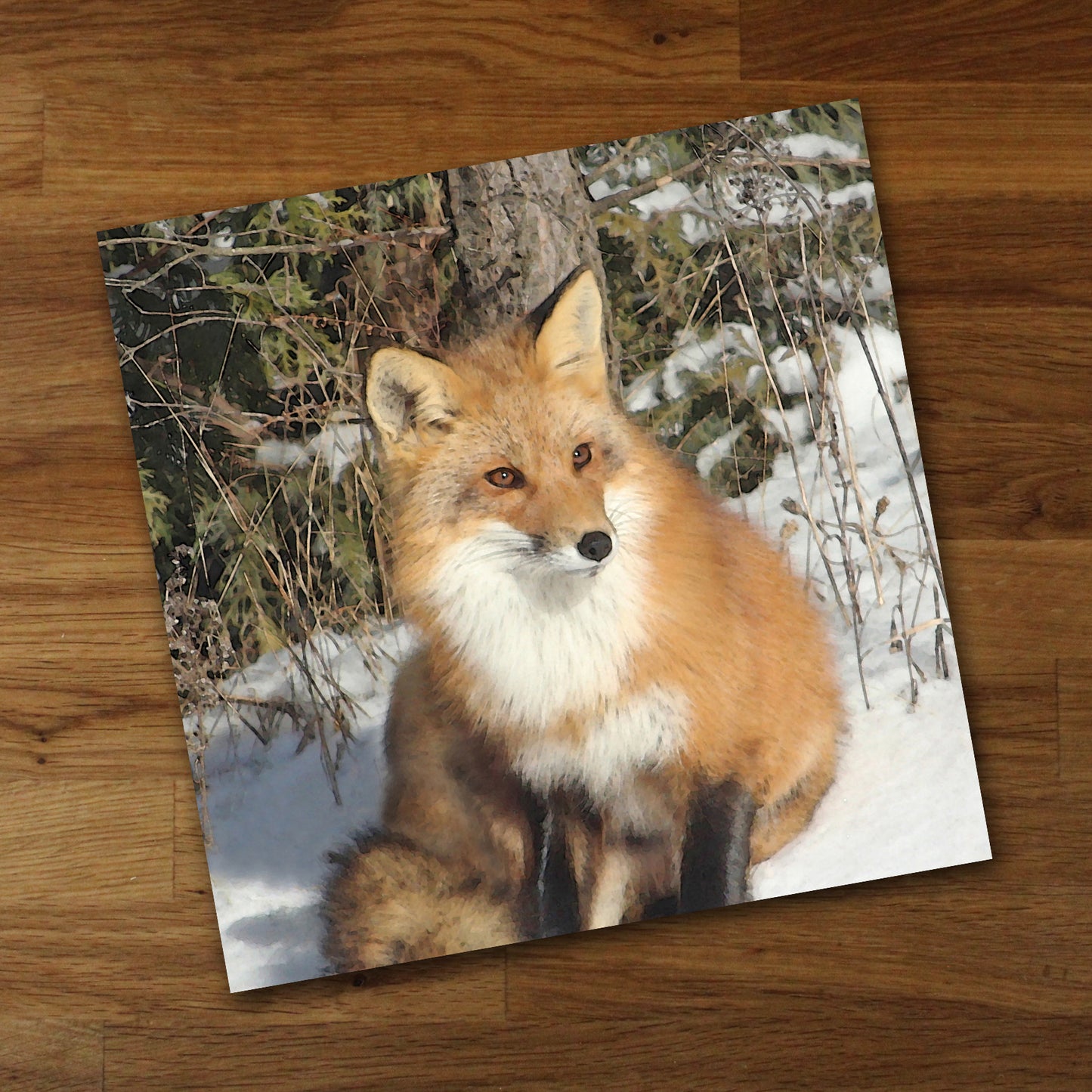 Beautiful Fox Fine Art Print, Unframed