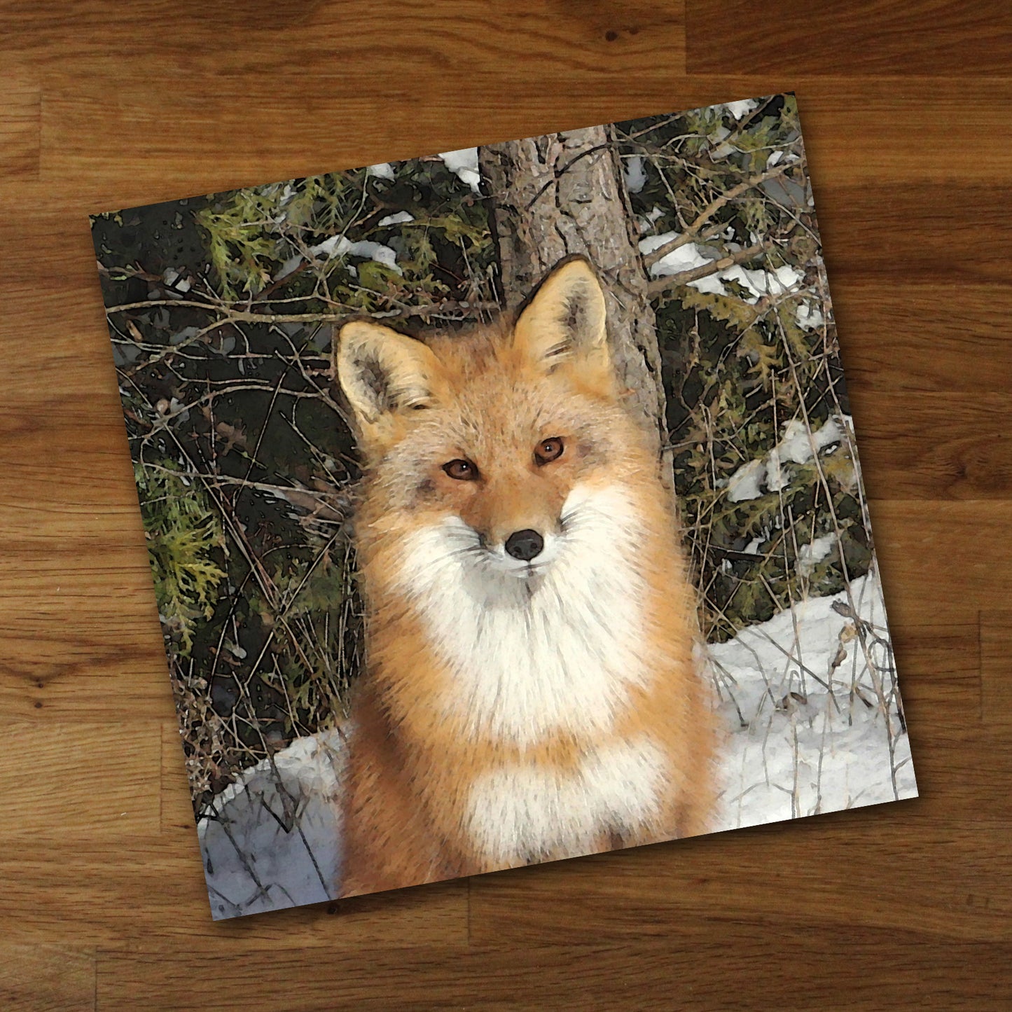 Red Fox Fine Art Print, Unframed
