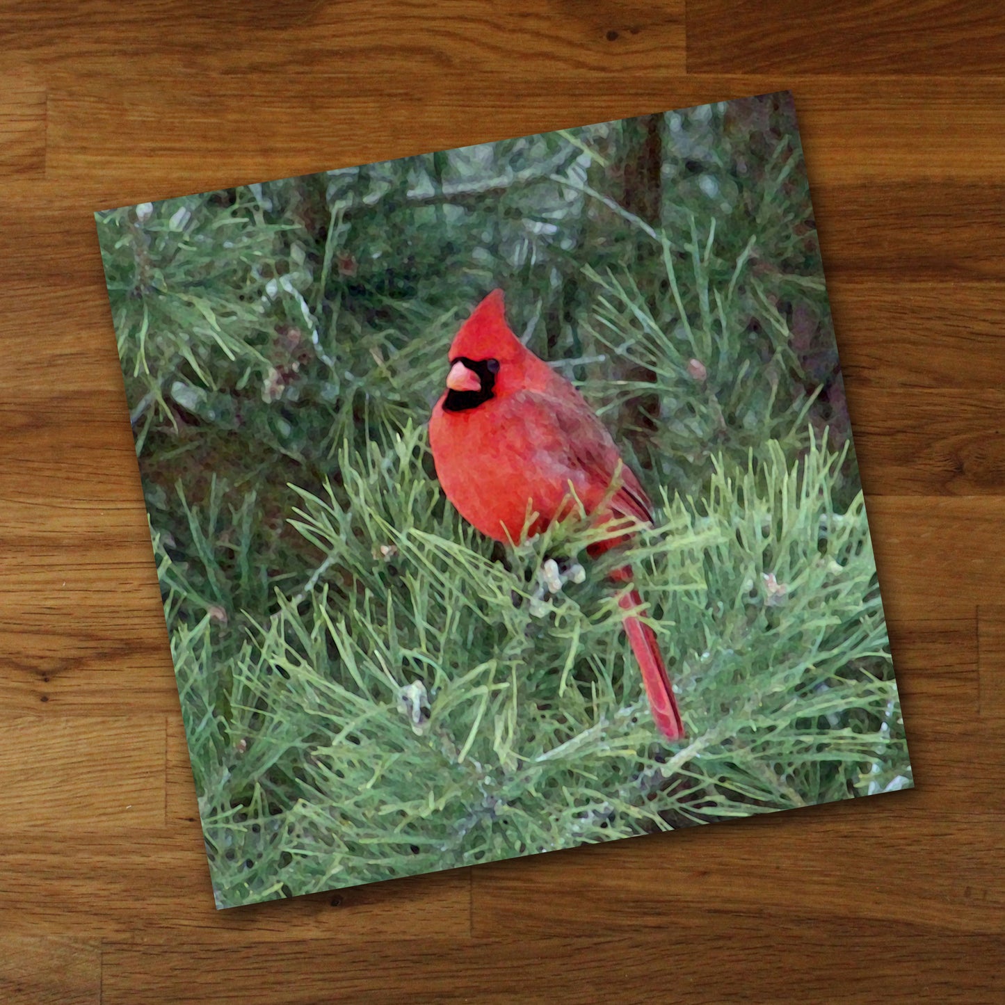 Cardinal in Tree Fine Art Print, Unframed