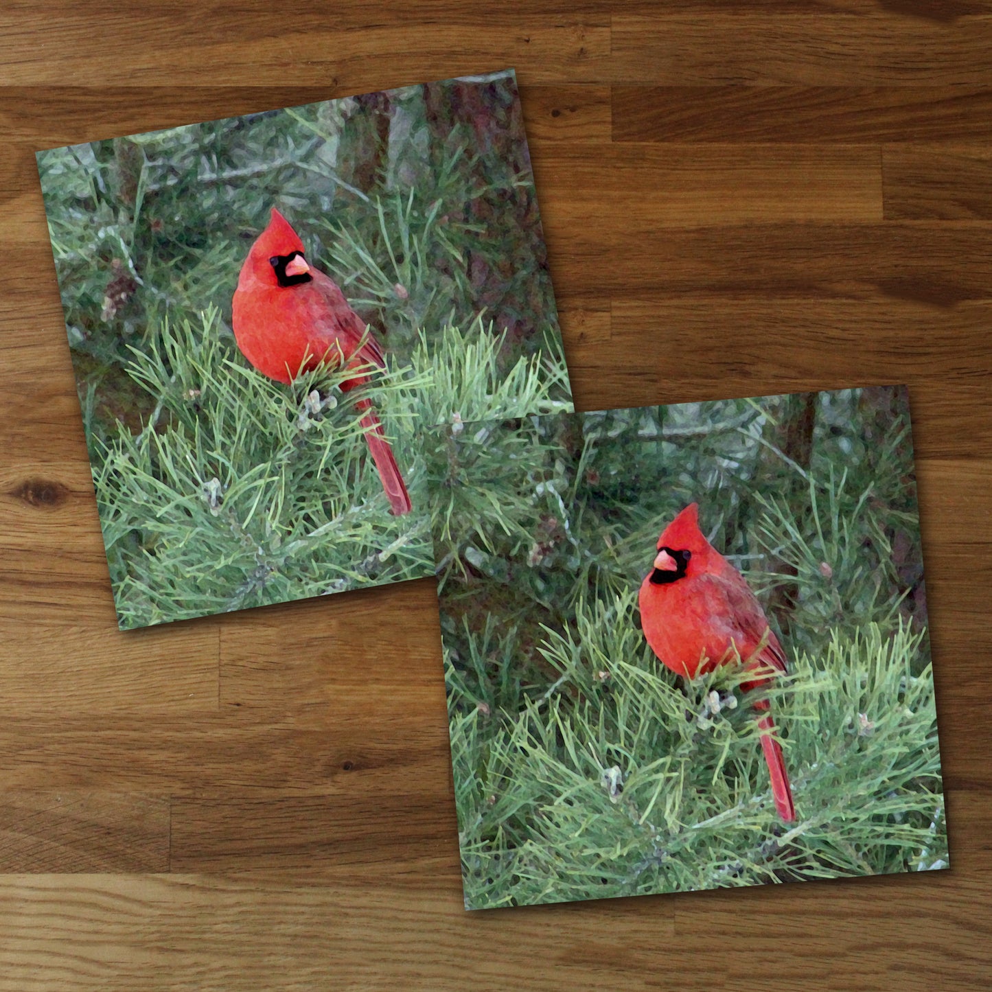 Set of 2 Cardinal Fine Art Prints, Unframed