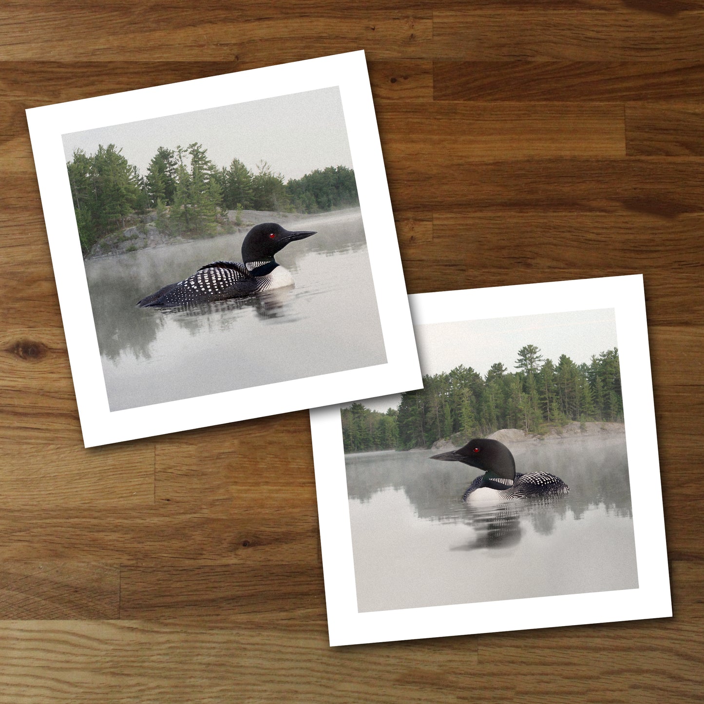 Set of 2 Lake Loon Fine Art Prints, Unframed
