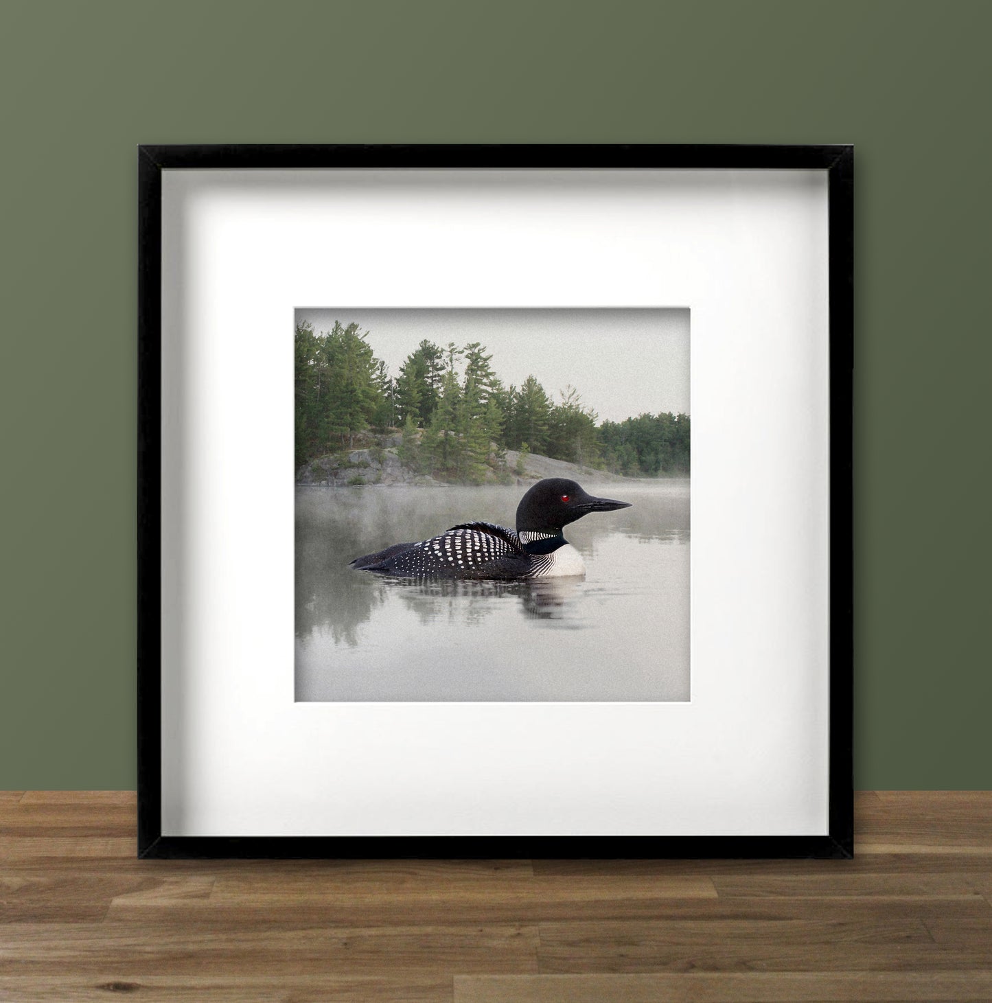 Loon on the Water Fine Art Print, Unframed