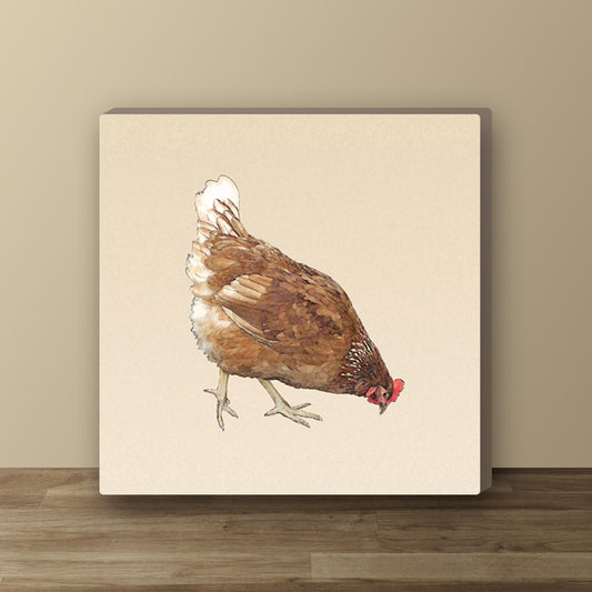 Little Red Hen Wrapped Canvas Print