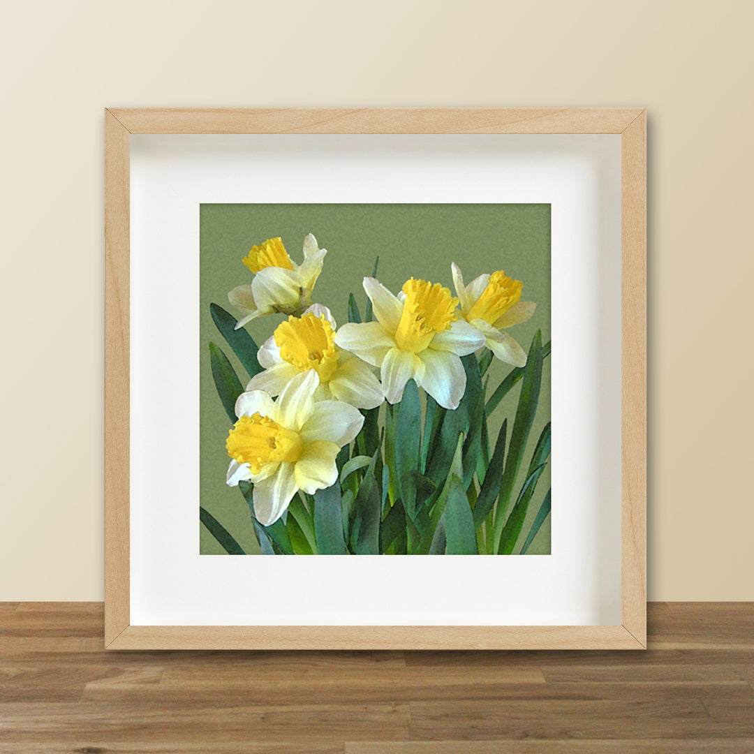 Sunny Daffodils Fine Art Print, Unframed