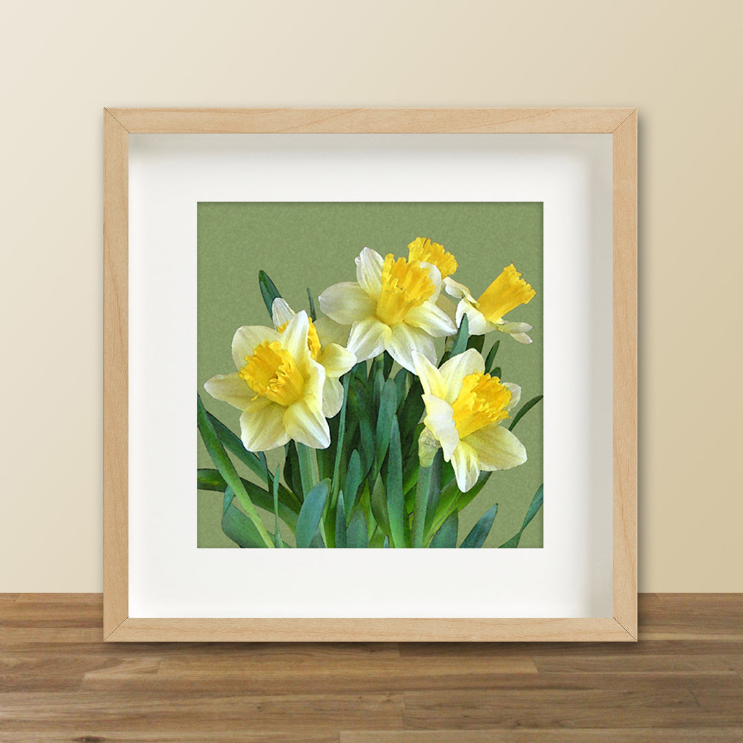 Daffodil Bouquet Fine Art Print, Unframed