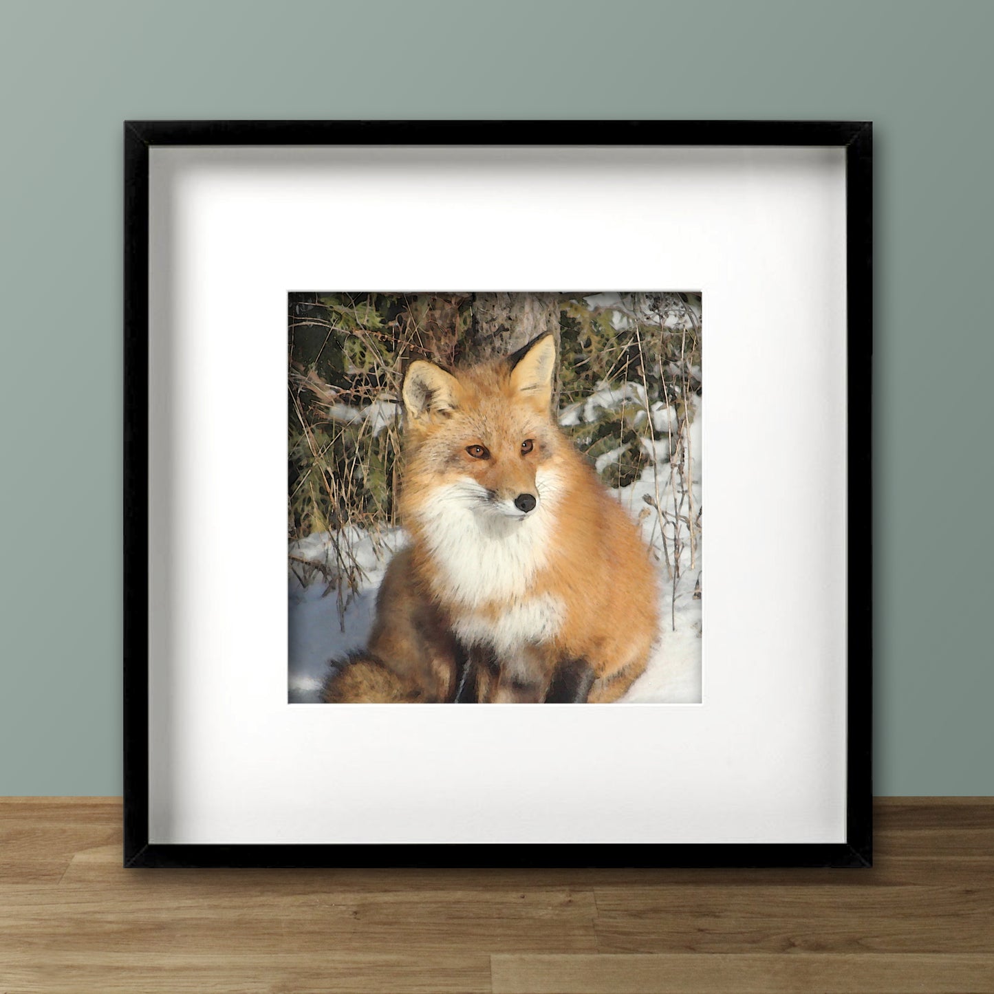 Beautiful Fox Fine Art Print, Unframed