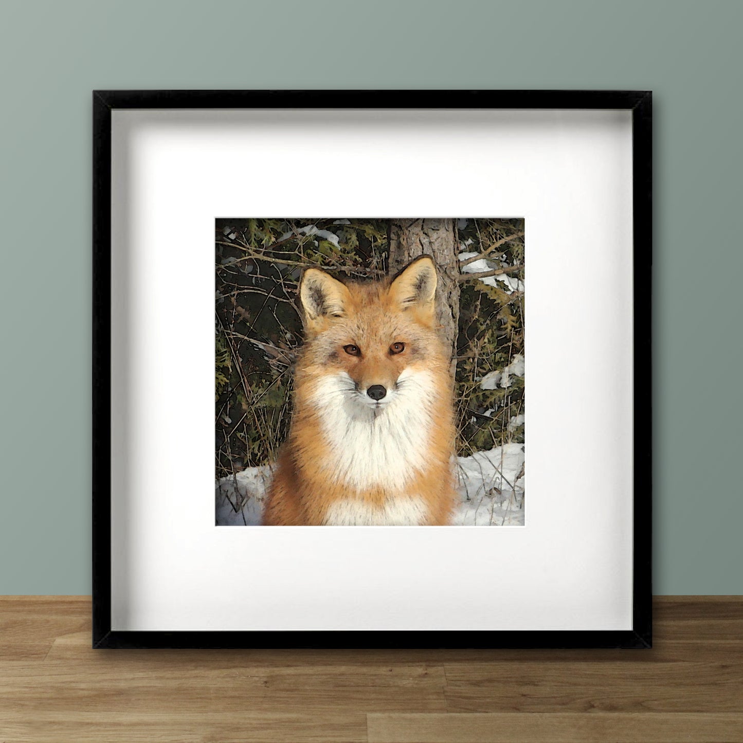 Set of 2 Red Fox Fine Art Prints, Unframed