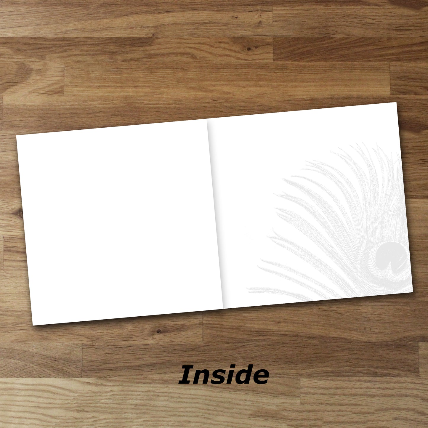 Set of 4 Peacock Feather Designer Greeting Cards