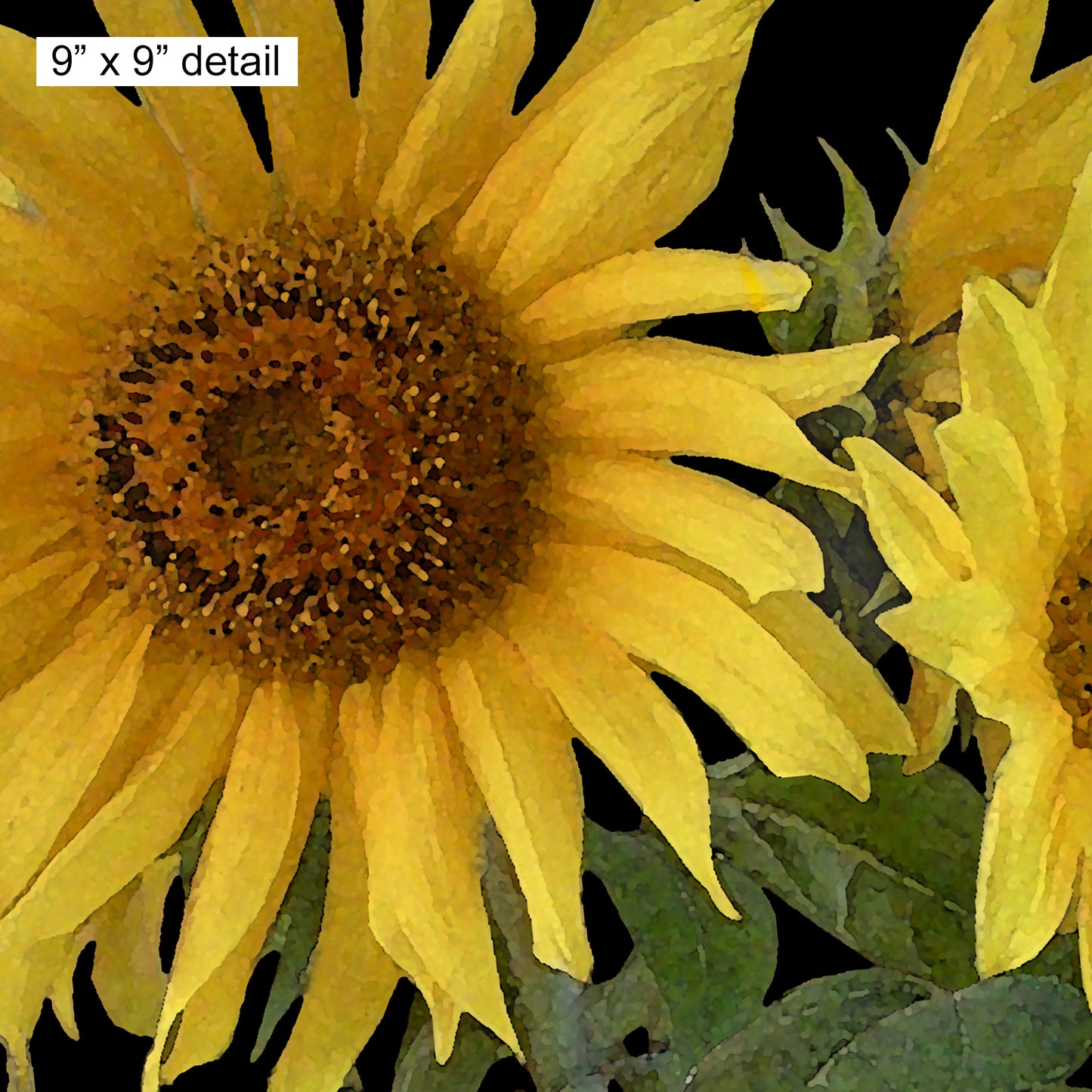 Set of 2 Sunflowers on Black Designer Pillows, 20"x14" and 18"x18"