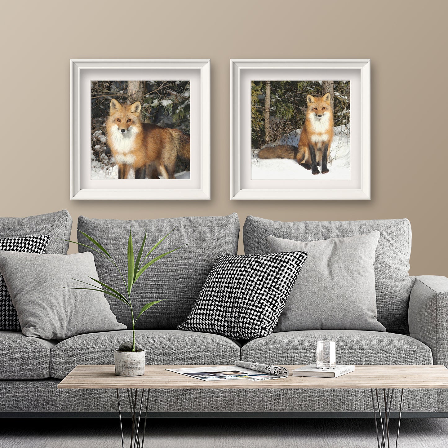 Set of 2 Wild Fox Fine Art Prints, Unframed