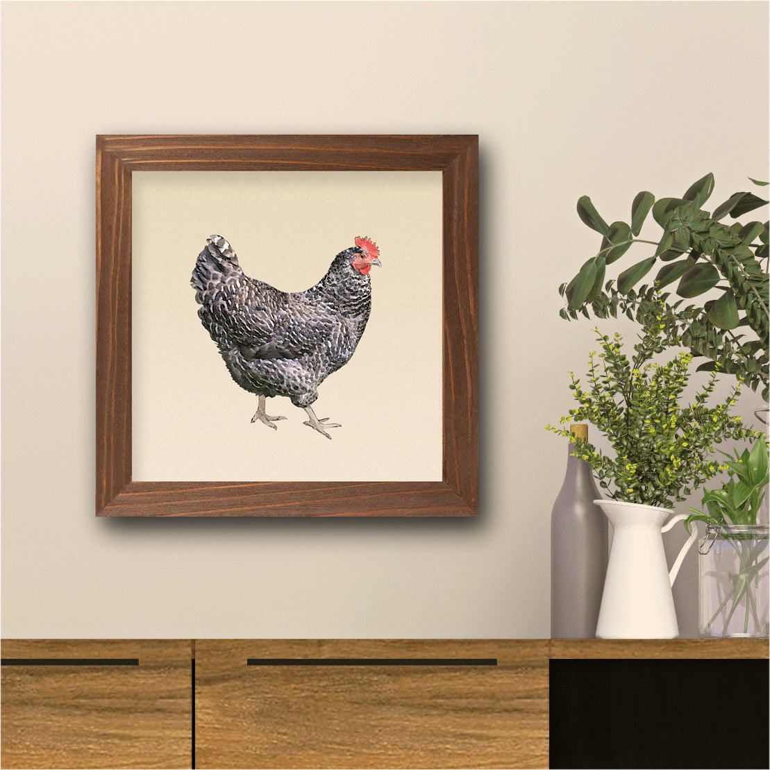 Barred Plymouth Rock Chicken Fine Art Print, Unframed