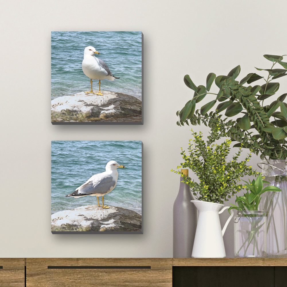 Set of 2 Seagull Wrapped Canvas Prints