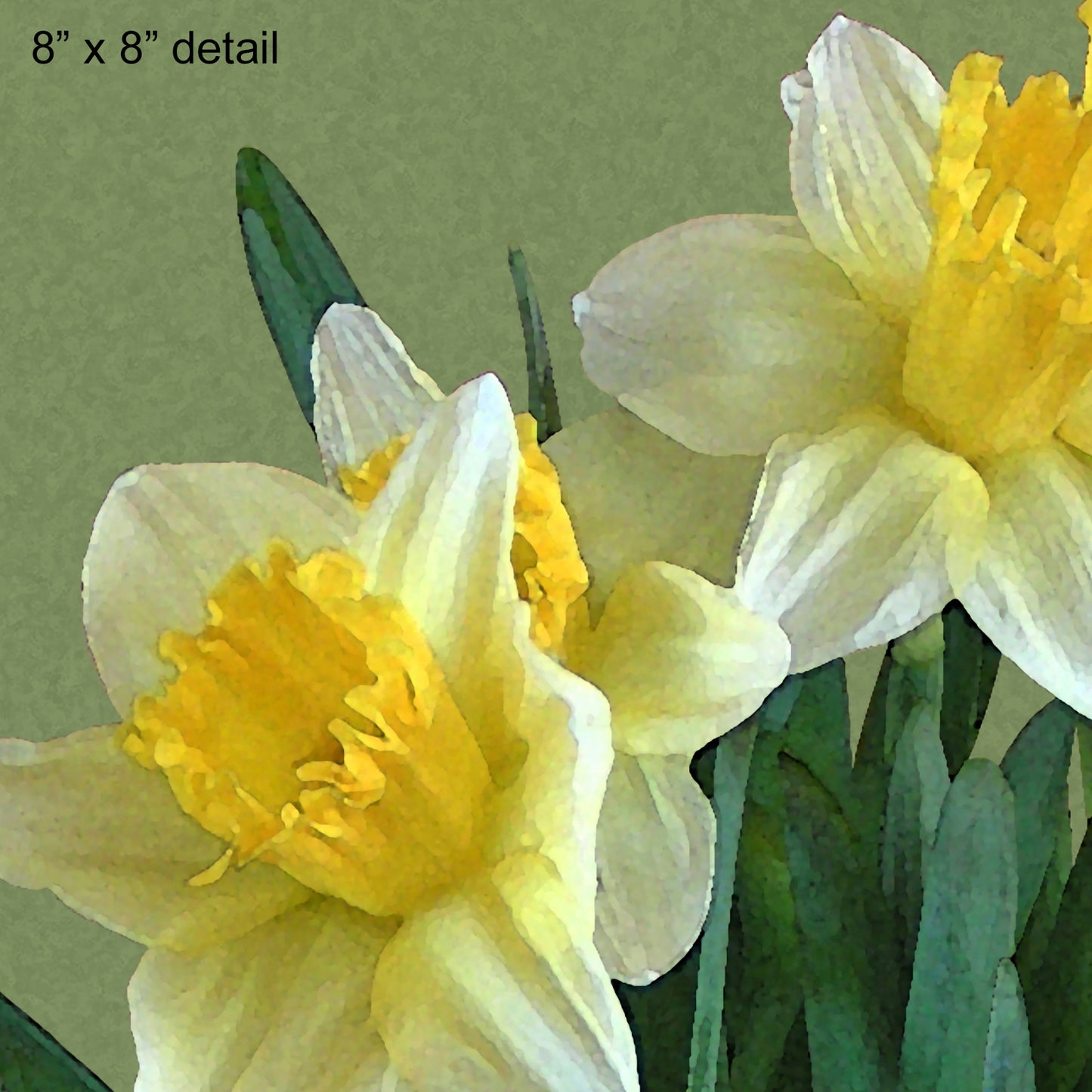 Set of 2 Daffodil Designer Pillows, 18"x18"