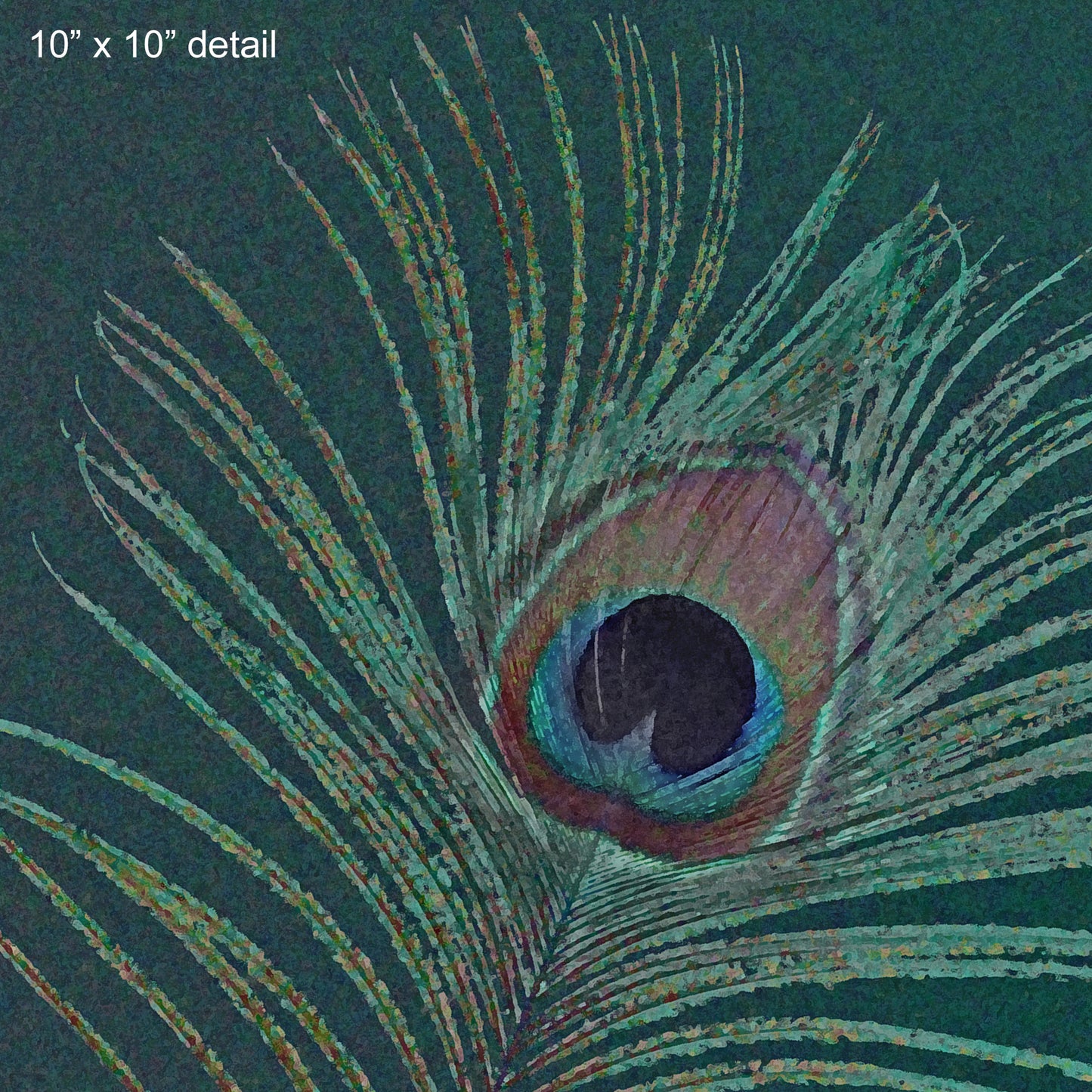 SPECIAL SAVINGS on Peacock Feather Designer Pillows in Lighter, Softer Colors