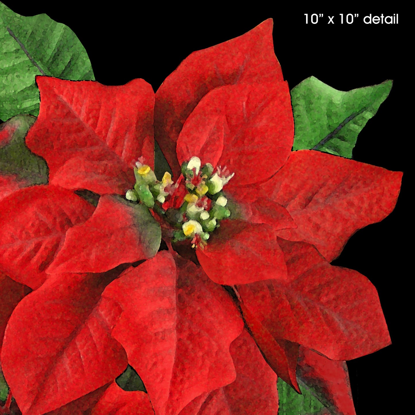 Poinsettia Designer Christmas Pillow, 18"x18"