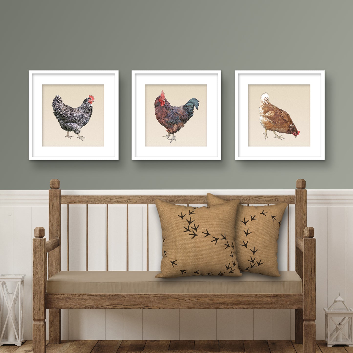 Set of 3 Framed Chickens Fine Art Prints