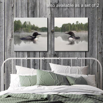 Loon on the Water Wrapped Canvas Print