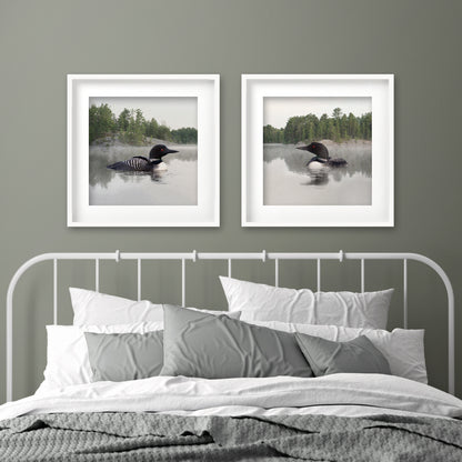 Set of 2 Framed Lake Loon Fine Art Prints