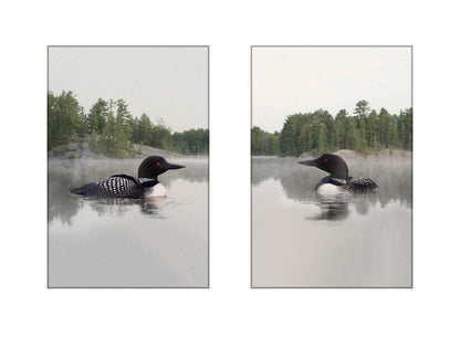 SPECIAL ORDER Set of 2 Lake Loon Art Prints, Unframed