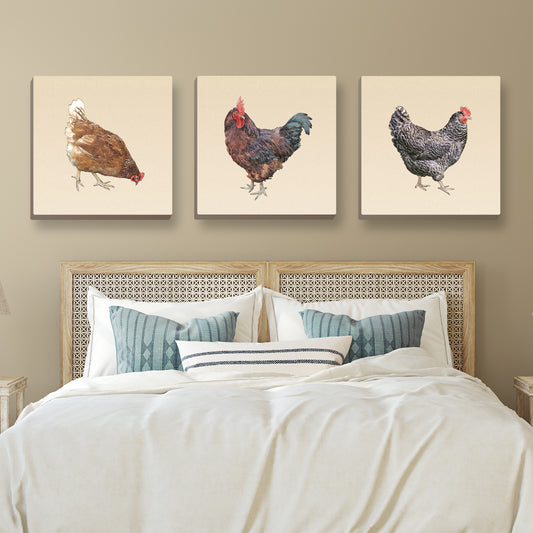 Set of 3 Chicken Wrapped Canvas Prints