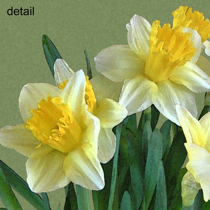 Set of 10 Daffodils Designer Greeting Cards