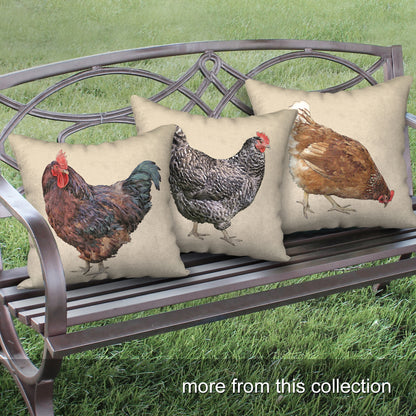 Rhode Island Red Rooster Wrapped Canvas Print